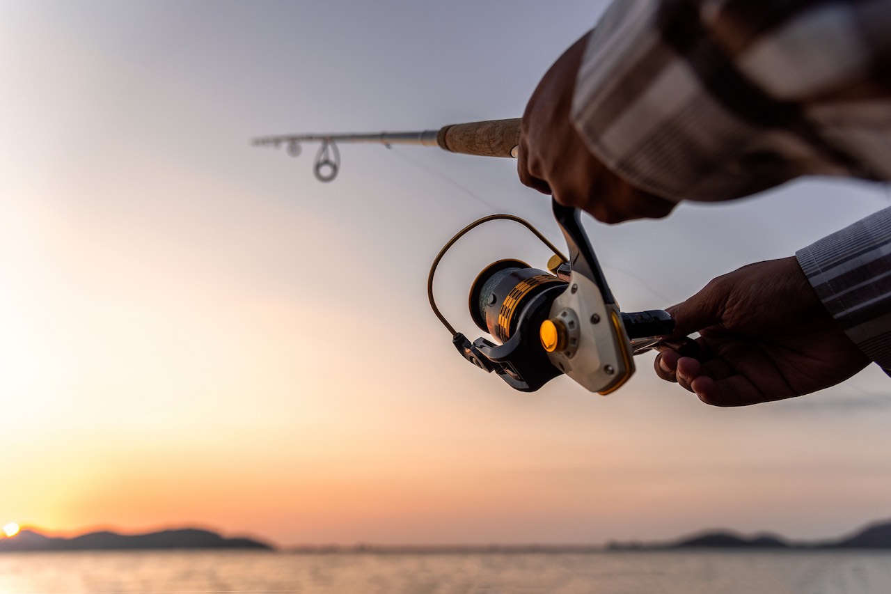 Fishing for sports betting money